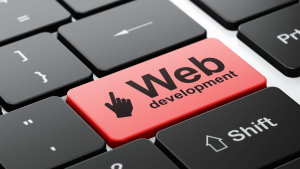 What is Web Development 1